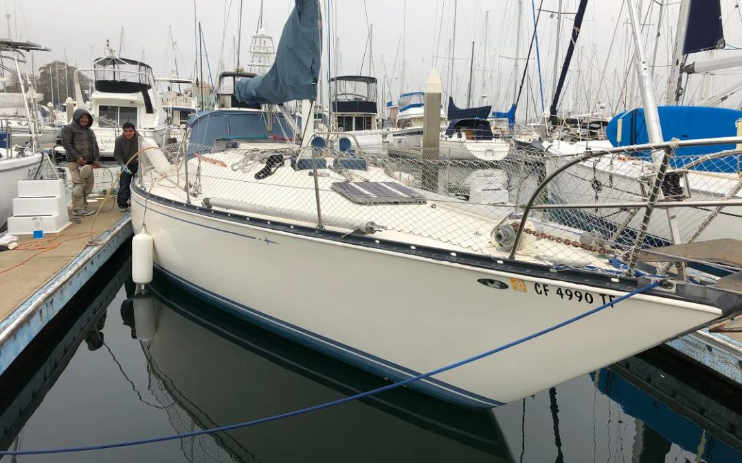 Seasonal boat tips and boat cleaning services in Alameda, Oakland and Eastbay